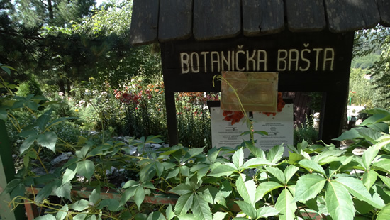 2005